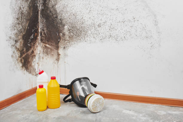 Home Mold Removal in Valley Center, KS