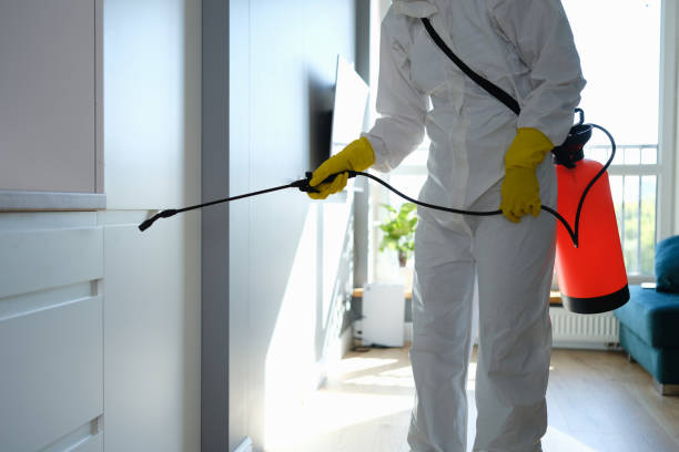 Attic Mold Removal in Valley Center, KS